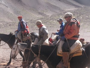arrierosconduzindomulasparaplazademulas1