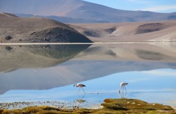 ojos-del-salado-expedition