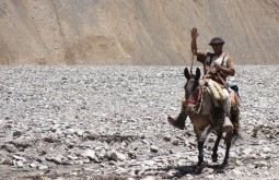 aconcagua-basecamp-trek--mt-bonete
