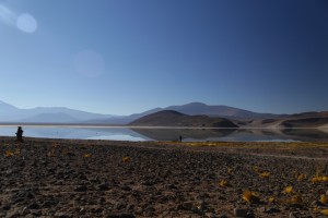 santa-rosa