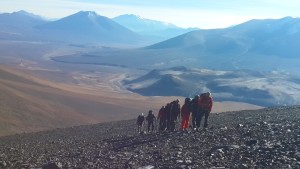 way-to-mulas-muertas