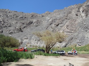 way-to-laguna-santa-rosa-road-stop-where-there-is-some-vegetation