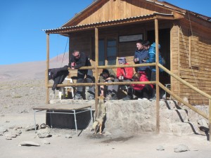 fox-having-a-snack-at-laguna-santa-rosa-hut