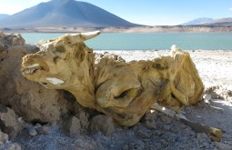 ojos-del-salado-expedition