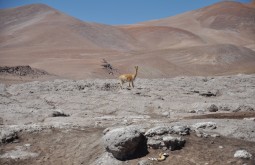 ojos-del-salado-expedition