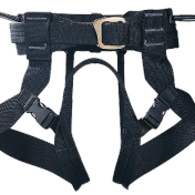 Harness