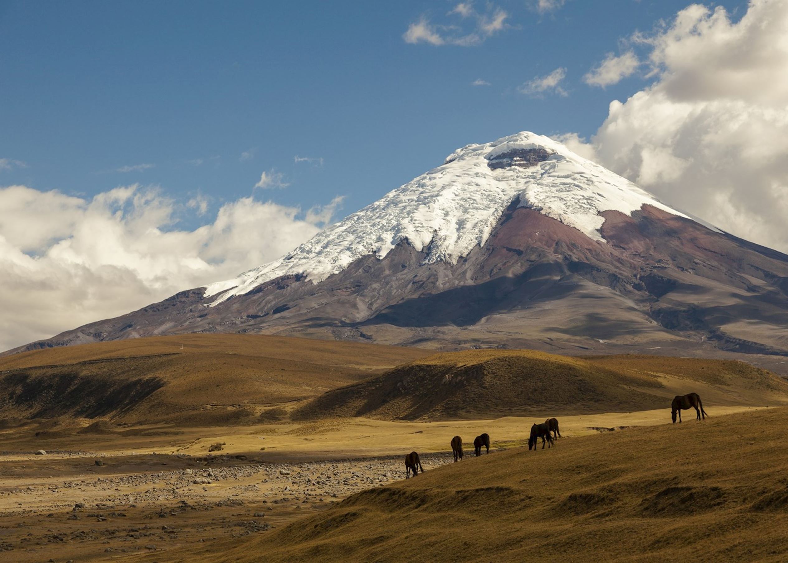Tallest Mountain In Ecuador