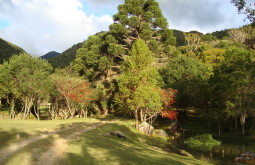 pico-parana--curitiba--brazil