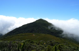 pico-parana--curitiba--brazil