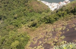 rock-climbing-course--rio-de-janeiro