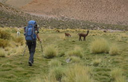 llullaillaco-and-incan-mountains