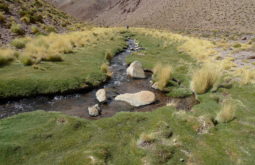 llullaillaco-and-incan-mountains