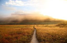 mont-roraima--brazilvenezuela