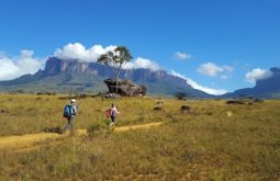 mont-roraima--brazilvenezuela