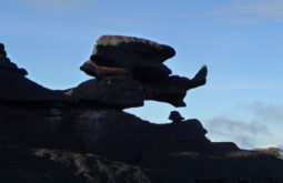 mont-roraima--brazilvenezuela