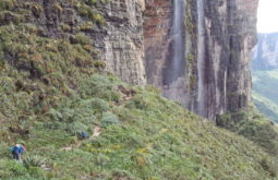 mont-roraima--brazilvenezuela