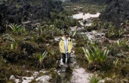 mont-roraima--brazilvenezuela