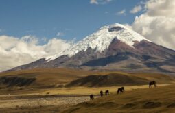 cotopaxi-and-chimborazo-in-ecuador